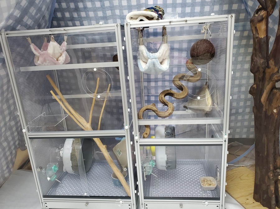 作例10